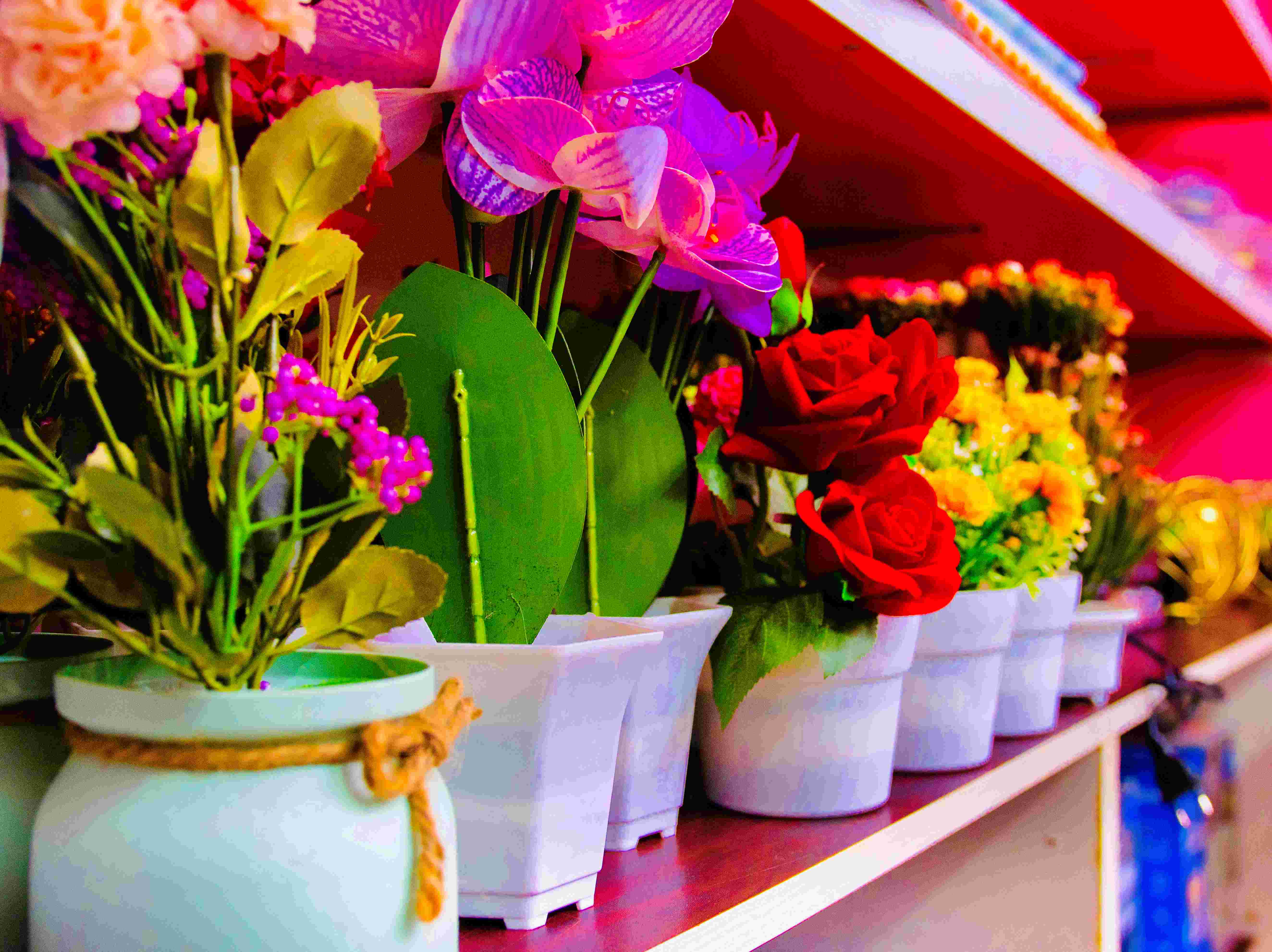 ICIC Heritage Product 24